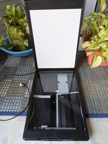 Epson perfection v39ii scanner - epson,